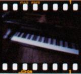 morphe photo